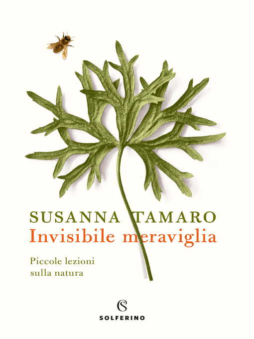 Title details for Invisibile meraviglia by Susanna Tamaro - Available